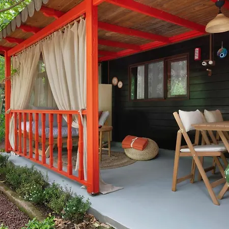 Gayb-i By Naturelife - Free Access To Albergue *