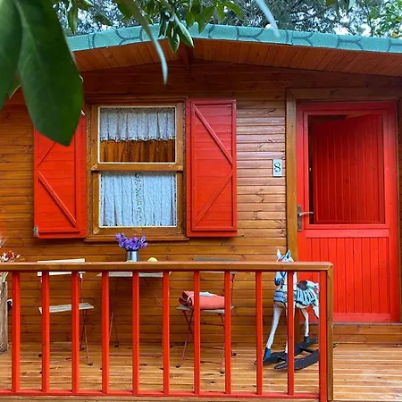 Gayb-i By Naturelife - Free Access To Hostel Cirali
