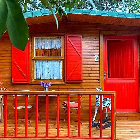 Hostel Gayb-i , 12 Years Old - Free Access To *