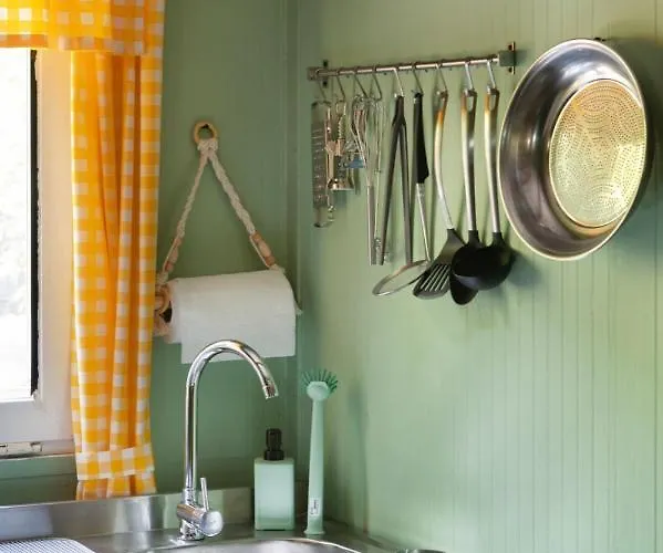 Gayb-i , 12 Years Old - Free Access To *