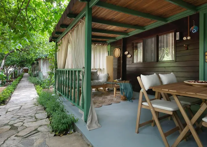 Gayb-i , 12 Years Old - Free Access To *