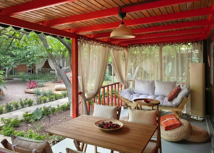 Gayb-i , 12 Years Old - Free Access To