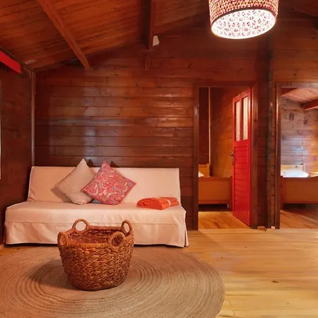 Gayb-i By Naturelife , 12 Years Old - Free Access To